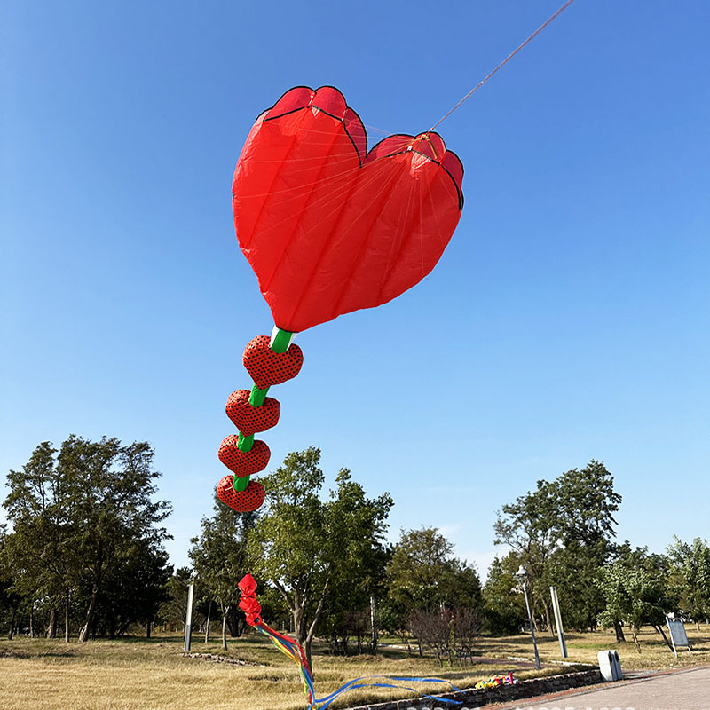 2026 Nowy latawiec w kształcie – Kids Outdoor Area recenzja i cena