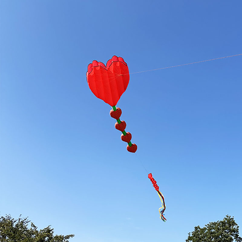2026 Nowy latawiec w kształcie – Kids Outdoor Area recenzja i cena